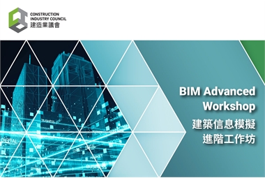 BIM Advanced Workshop